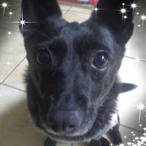 Meet your Posher, Daryl